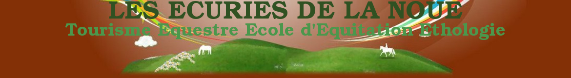 LES ECURIES DE LA NOUE